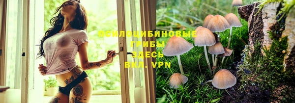 MDMA Кодинск